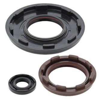 Engine Oil Seal Kit