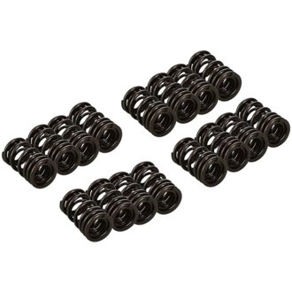 Honda K20A/K20Z Valve Spring and Retainer Kit (w/o Valve Locks