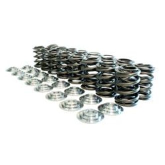 Acura B Series V-Tec Valve Spring And Retainer Kit (W/O Valve Locks