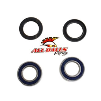 Rear Wheel Bearing Kit - Both Wheels