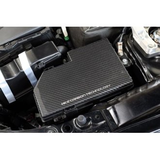 DRY CARBON FUSE BOX COVER FL5