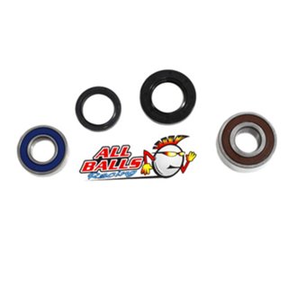 Wheel Bearing Kit Rear