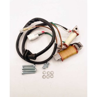 Ricks Motorsport Yamaha Stator Rebuild Kit