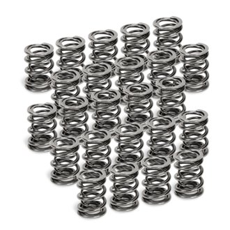 BMW M50/M52/S50/S52 Dual Valve Spring - Set of 24