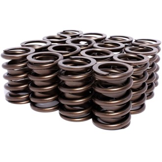 Engine Valve Spring Kit