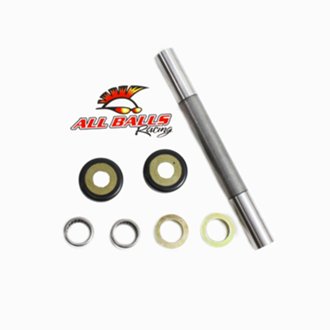 Swing Arm Bearing Kit
