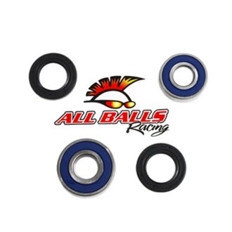 Wheel Bearing Kit Rear