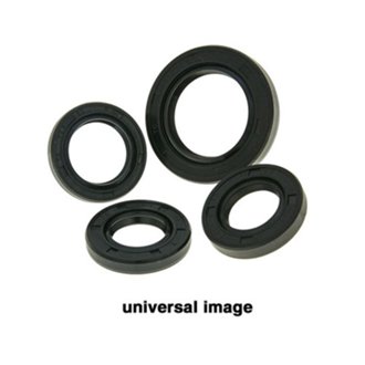 Drive Shaft Housing Sealkit