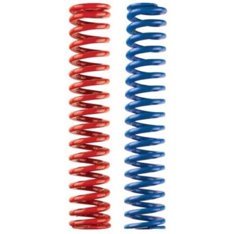 2 Piece Oil Pump Spring Kit (For 22167/Black Series Gerotor Ext/Dry Sump