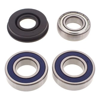 Snowmobile Chain Case Bearing & Seal Kit