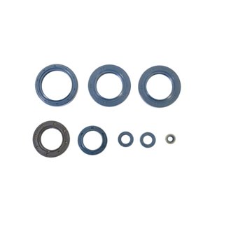85-90 Aprilia ETX 350 Engine Oil Seal Kit