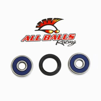 Wheel Bearing Kit Rear