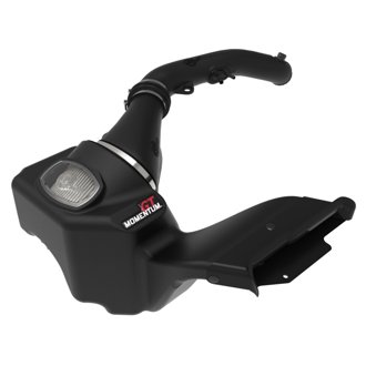 Momentum Gt Cold Air Intake System W/ Pro Dry S Filter