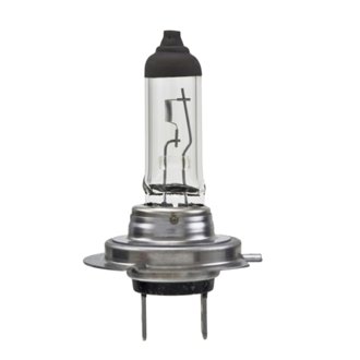 Multi-Purpose Light Bulb