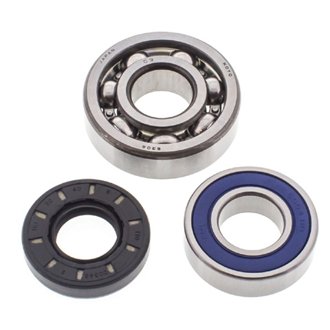 Snowmobile Chain Case Bearing & Seal Kit