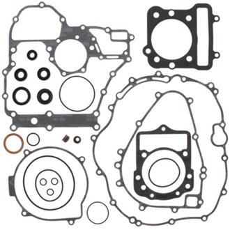 Complete Gasket Kit Withoil Seals