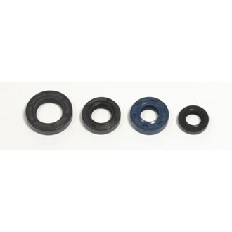 04-10 Honda 230 F Enduro 230 Engine Oil Seal Kit