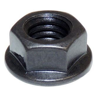 Exhaust Manifold Nut