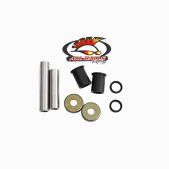 Swing Arm Bearing Kit