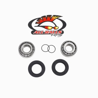 Swing Arm Bearing Kit