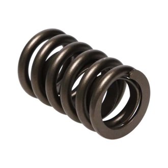 Valve Spring, SPRING-1.250 SINGLE