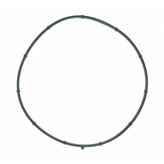 Fuel Injection Throttle Body Mounting Gasket