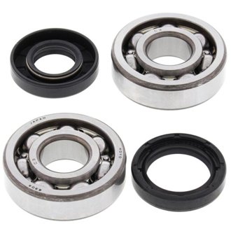 All Balls Crank Bearing And Seal Kit
