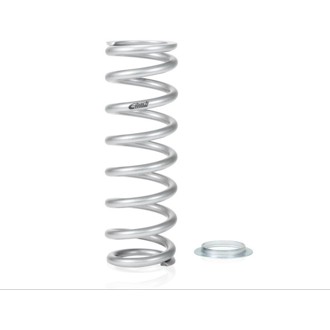 Single Rear Spring