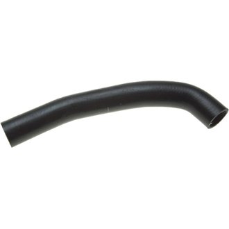 98-02 Ford Ranger V-6 4.0L Lower Molded Coolant Hose
