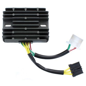 Electrosport REGULATOR-CAN Am