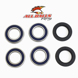 Wheel Bearing Kit Rear
