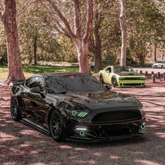 Photo - lifestyle view