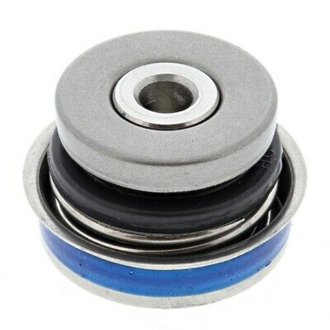 Water Pump Seal