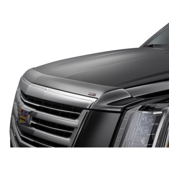 Low Profile Aerodynamic Hood Protector