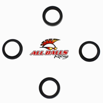 All Balls Fork & Dust Seal Kit