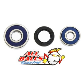 Wheel Bearing Kit Rear