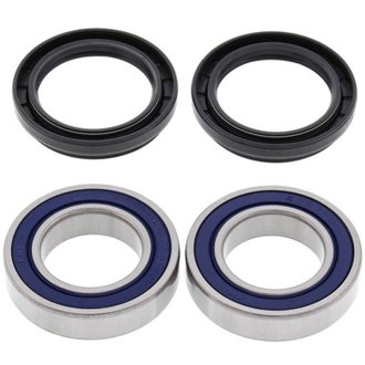 Wheel Bearing Kit Rear