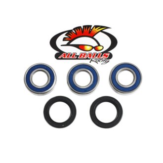 Wheel Bearing Kit Rear