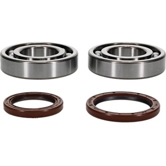 Racing 11-21 Beta RR 4T 350 Crank Shaft Bearing Kit