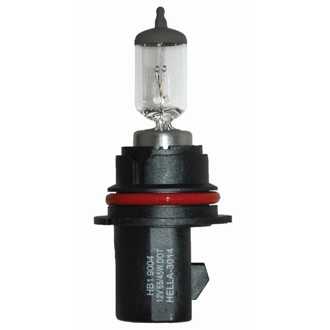 Multi-Purpose Light Bulb
