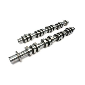 Camshaft Set F4.6 3V Mod. MT2