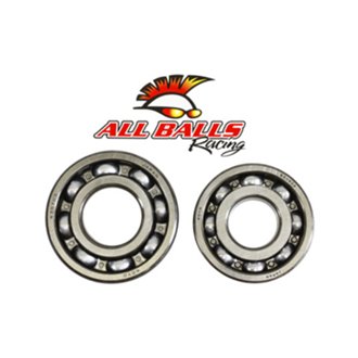 Crankshaft Bearing Kit
