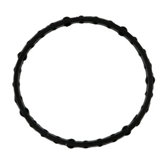Engine Coolant Outlet Gasket