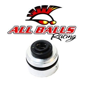 Rear Shock Seal Head Kit