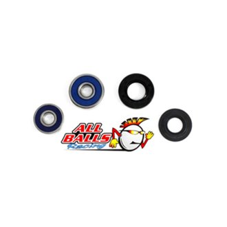 Wheel Bearing Kit Rear
