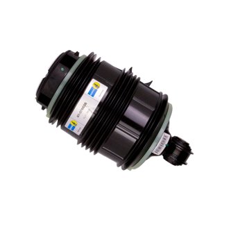 B4 OE Replacement - Suspension Strut Assembly
