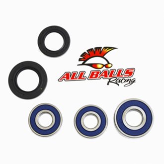 Rear Wheel Bearing Kit