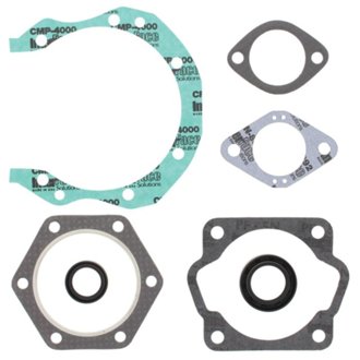 Complete Gasket Kit Withoil Seals