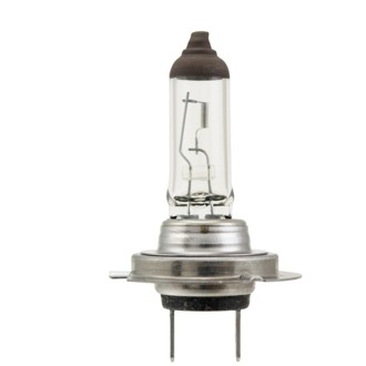 Multi-Purpose Light Bulb