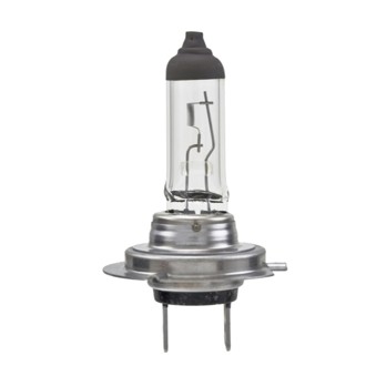 Multi-Purpose Light Bulb